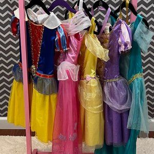 Disney Princesses Costume Collection